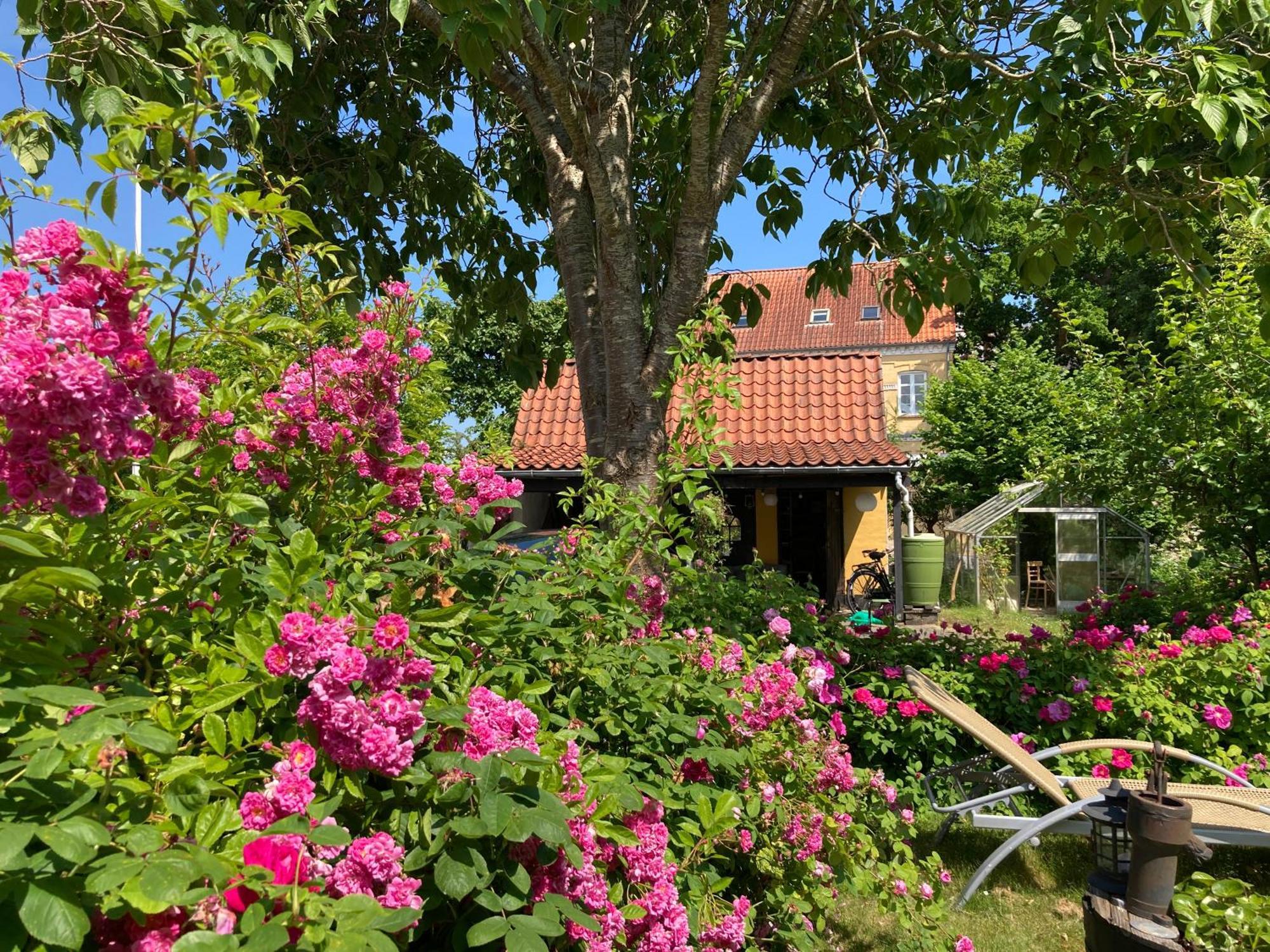 Den Gamle Skomager Hytte Ved Slotssoen Gråsten Exterior photo
